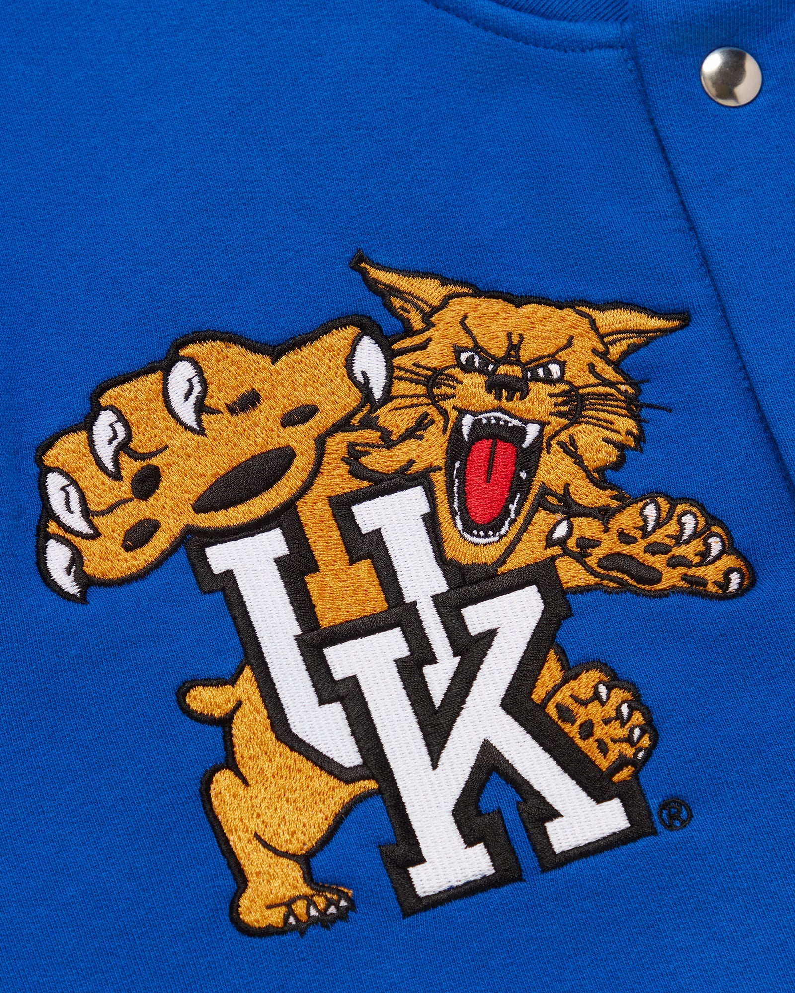Kentucky Wildcats Fleece Varsity Jacket - Blue IMAGE #8