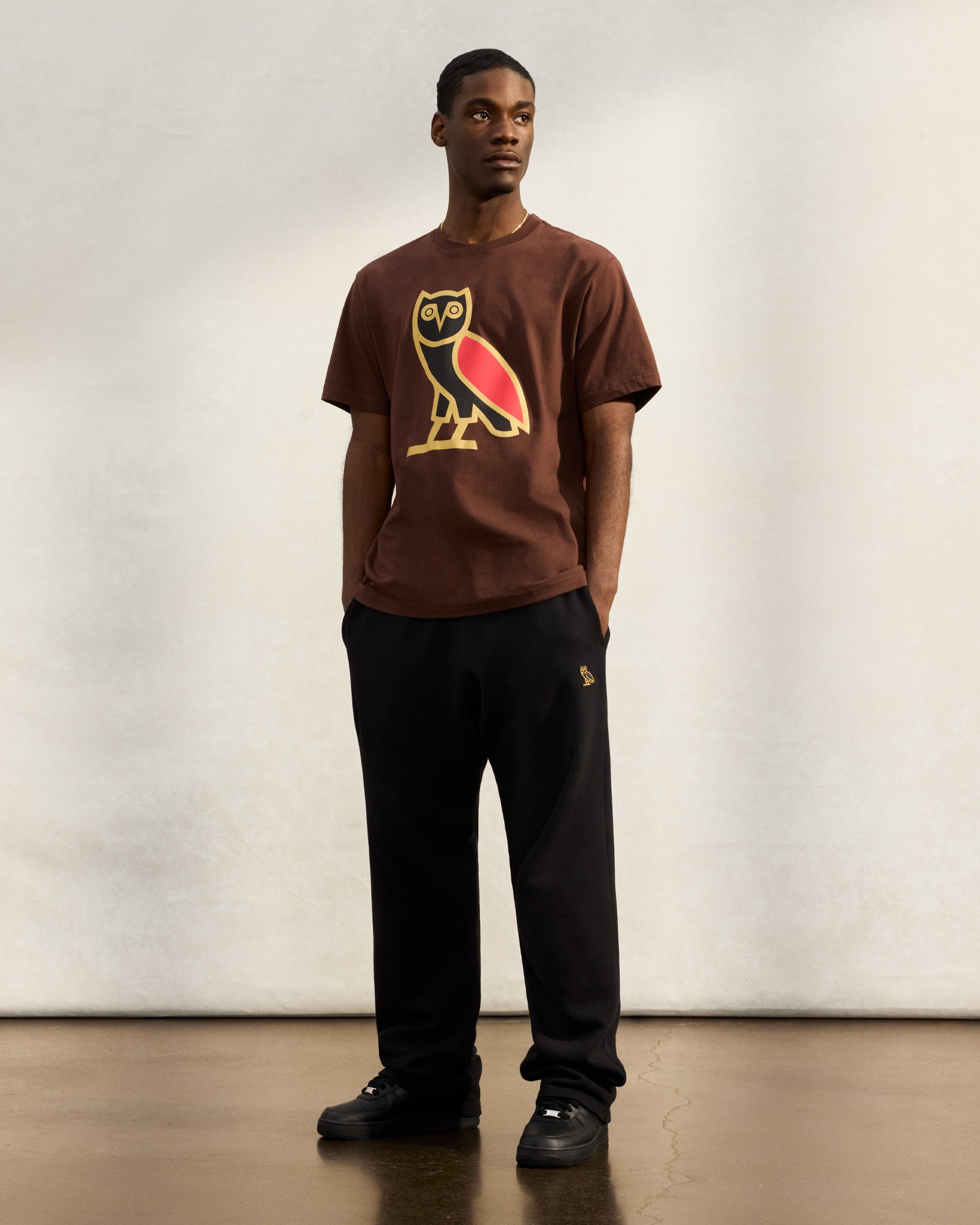 OG Wing Fill T-Shirt - Brown IMAGE #3