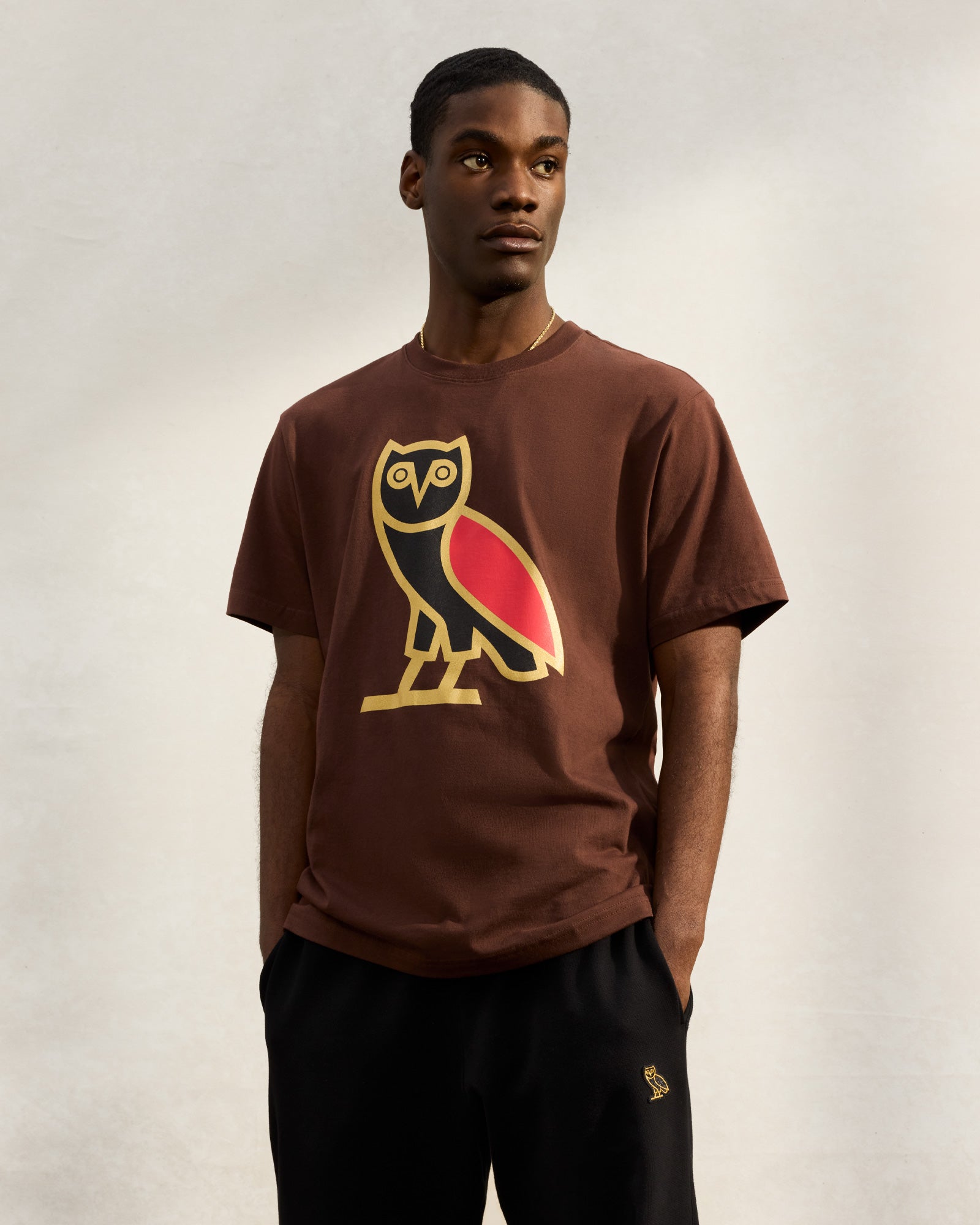 OG Wing Fill T-Shirt - Brown IMAGE #2