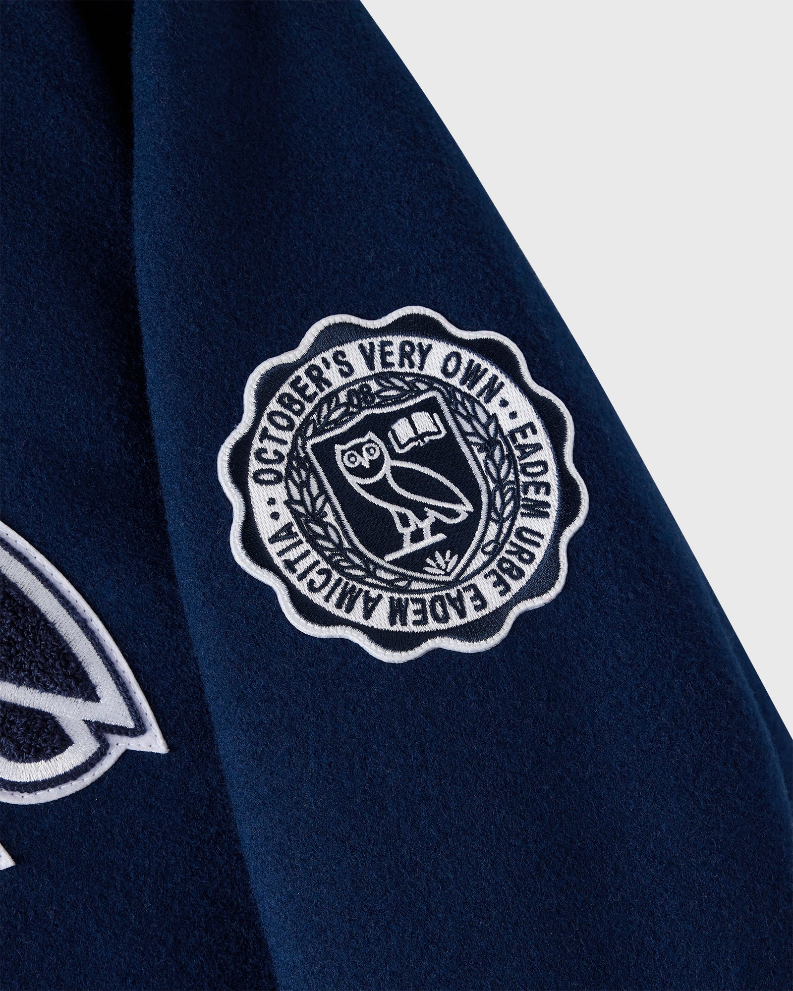 Campus Varsity Jacket - Yale Blue IMAGE #4