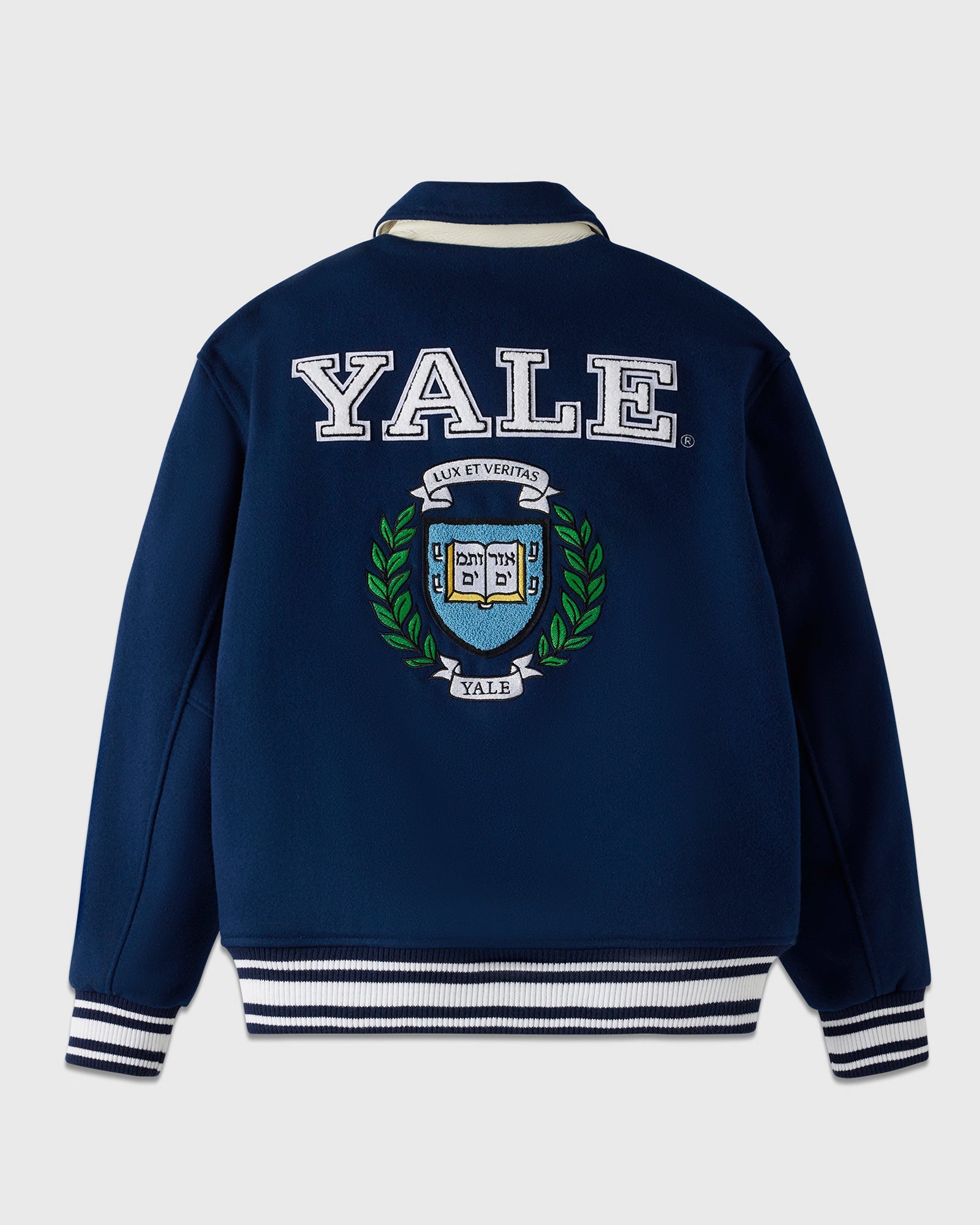 Campus Varsity Jacket - Yale Blue IMAGE #2