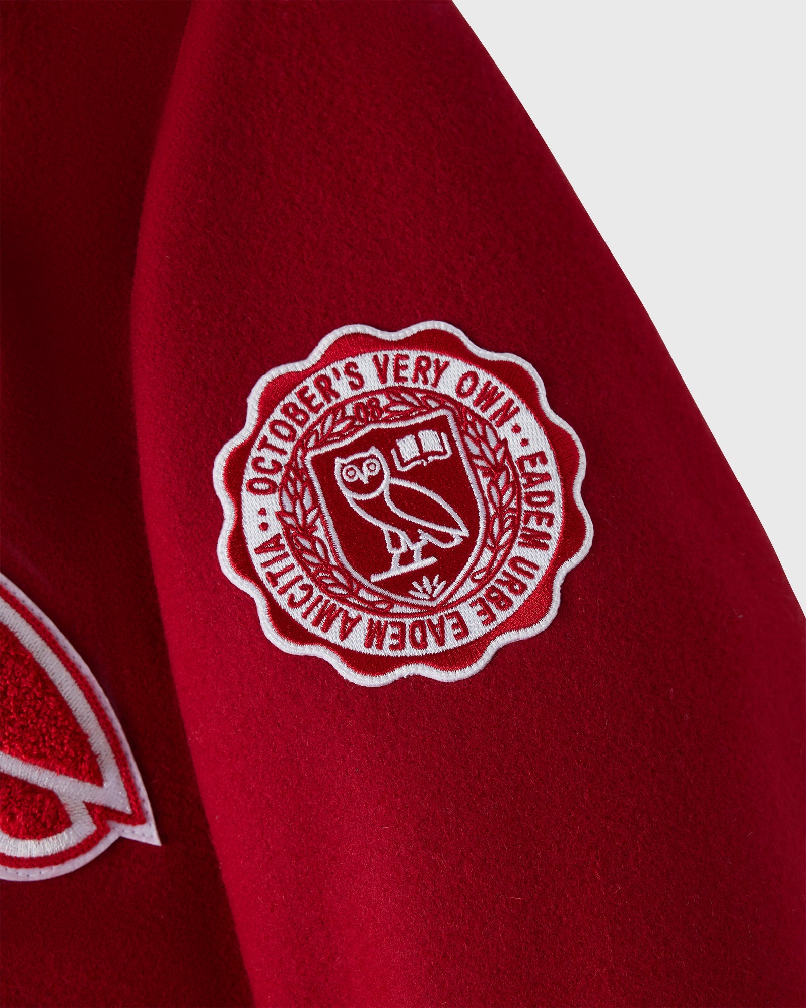 Campus Varsity Jacket - Stanford Red IMAGE #4