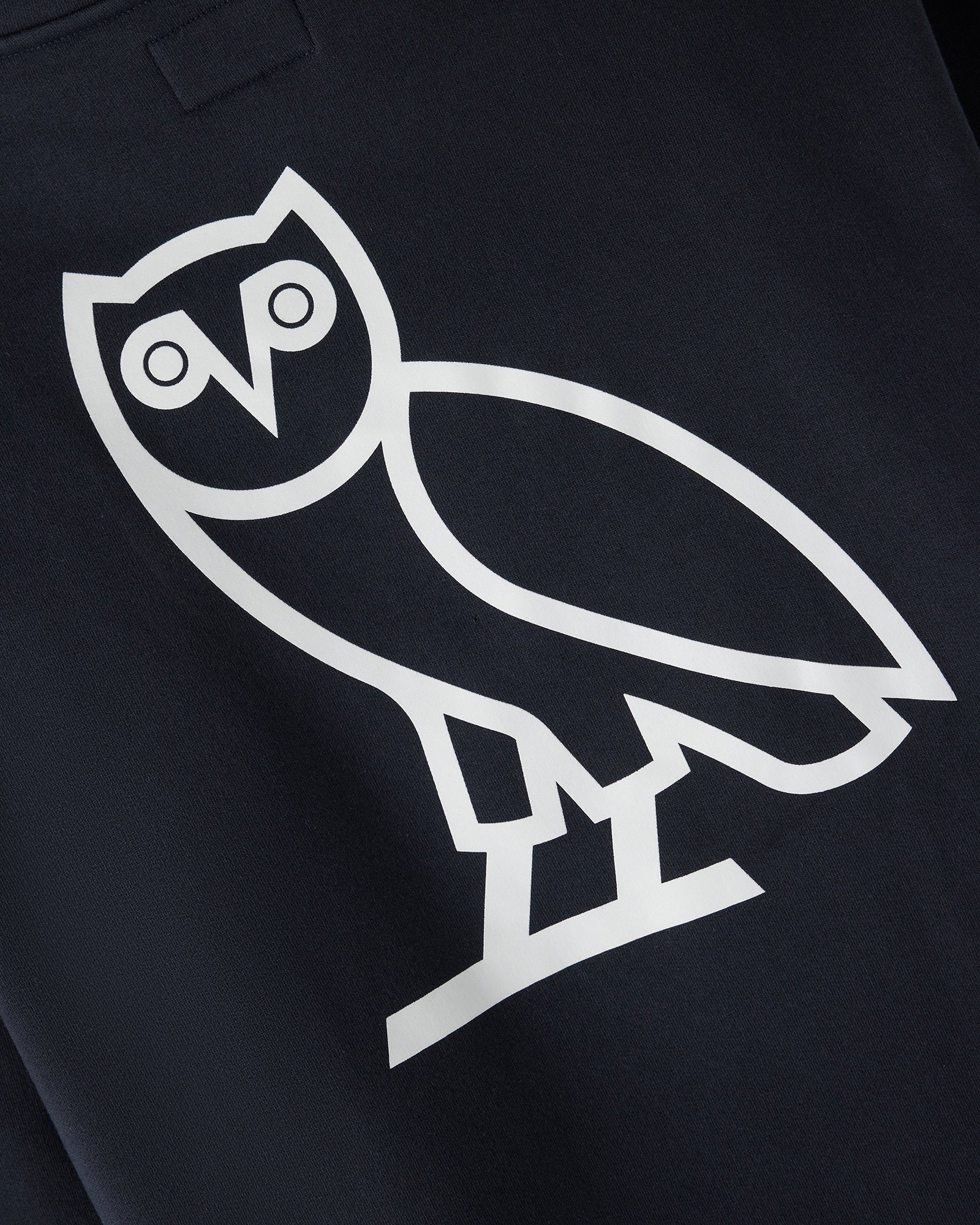 Campus Fleece Hoodie - UofT Navy IMAGE #5