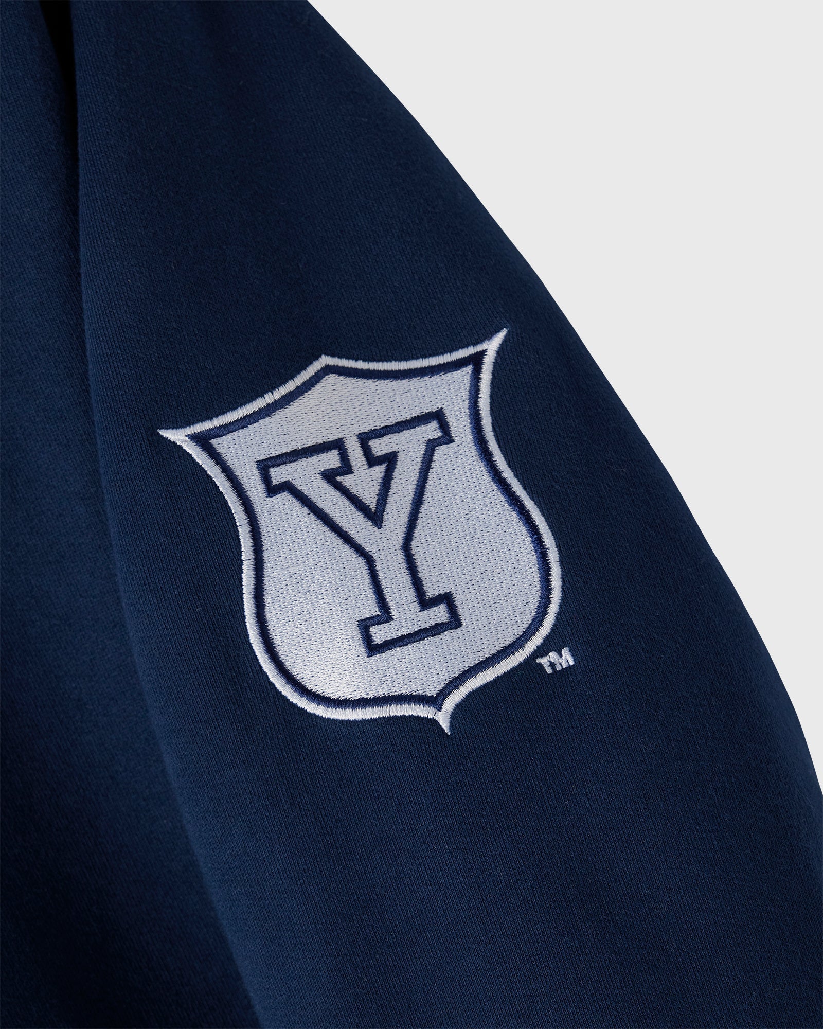 Campus Fleece Hoodie - Yale Blue IMAGE #4