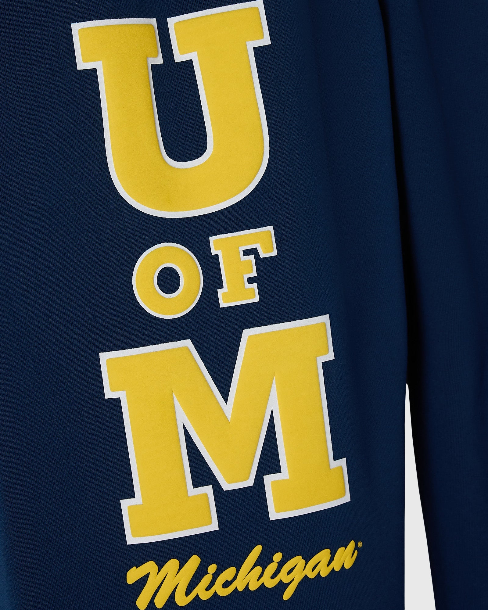 Michigan Wolverines Sweatpant - Navy IMAGE #3