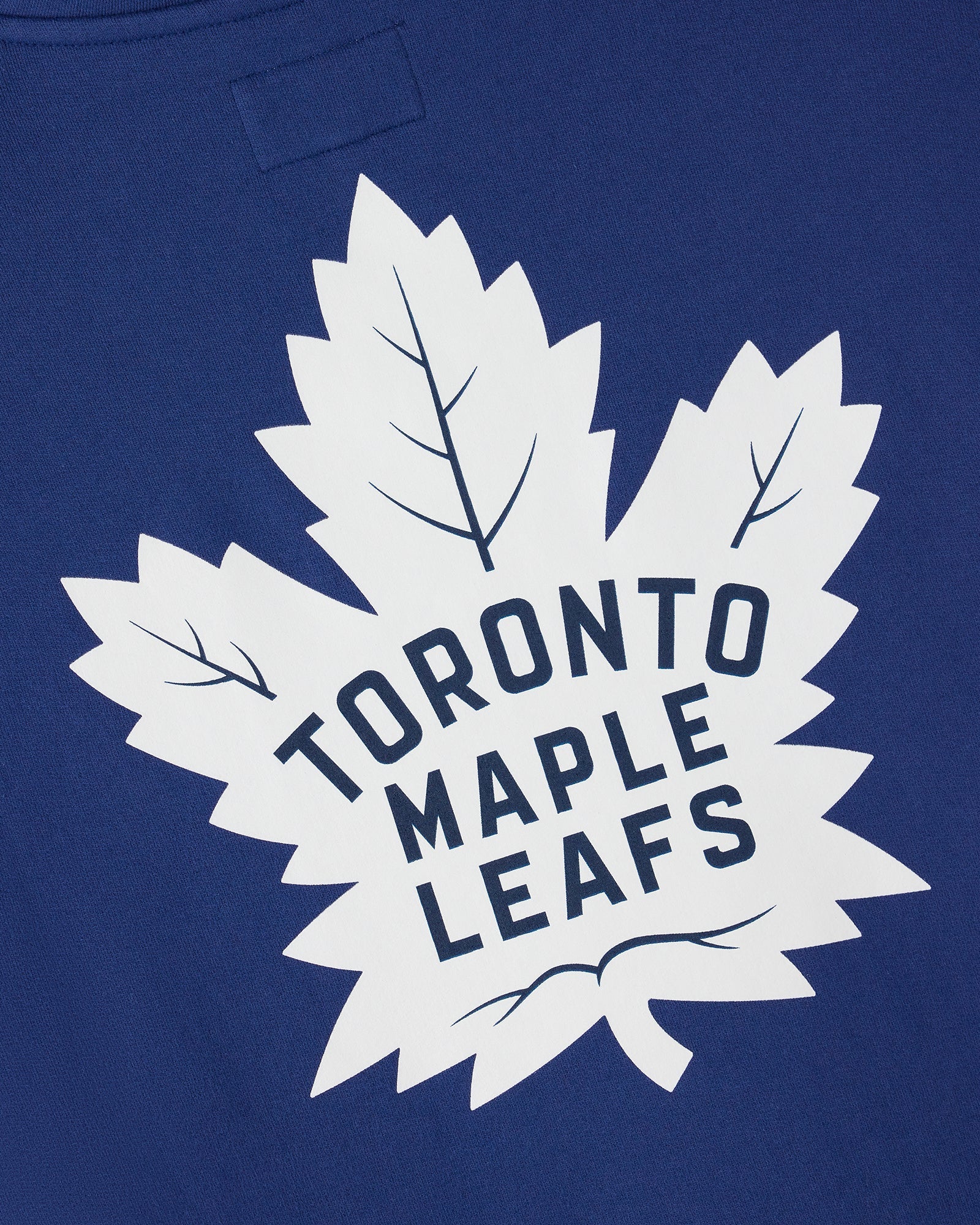 Hometown Heroes Hoodie - Leafs Blue IMAGE #11