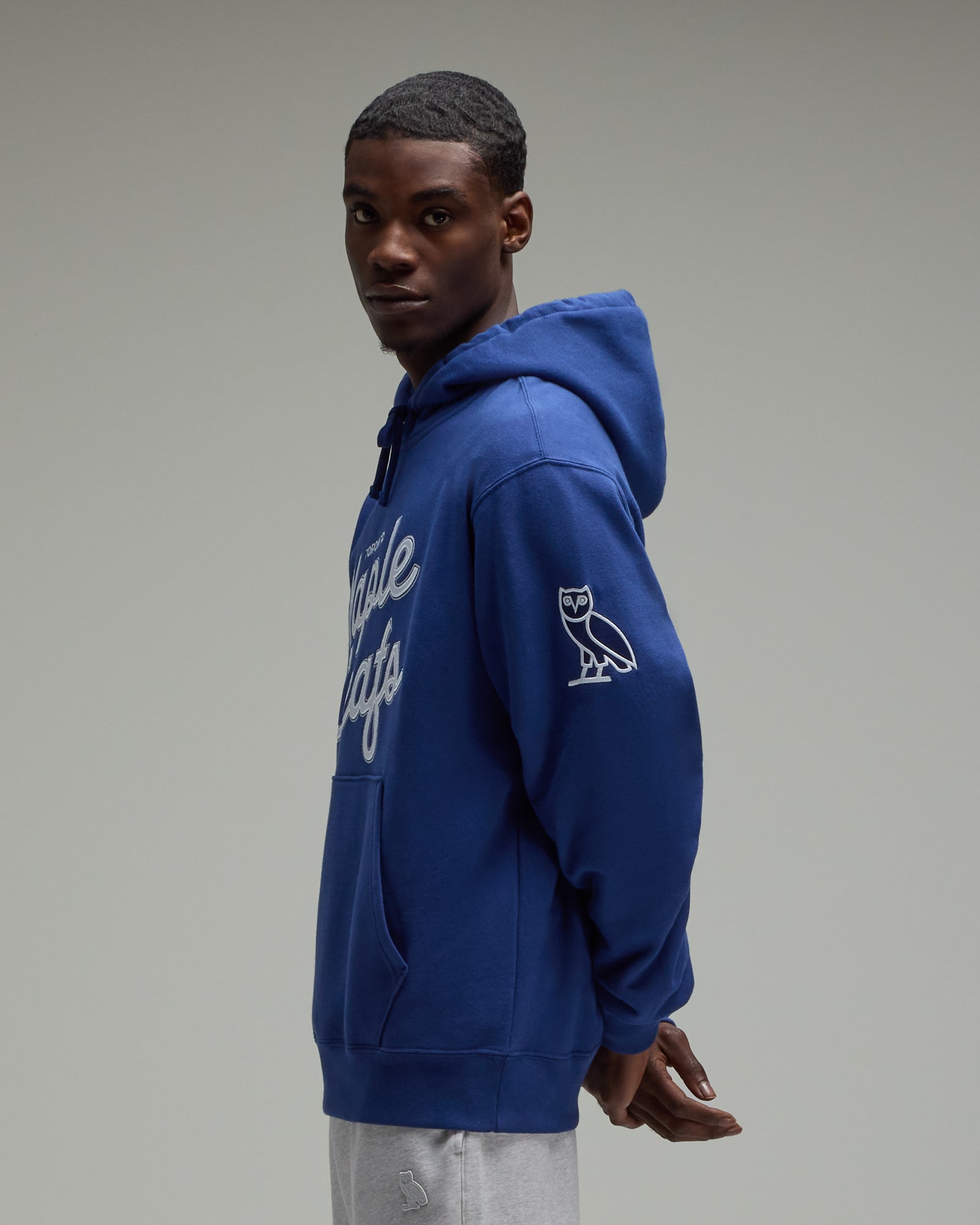 Hometown Heroes Hoodie - Leafs Blue IMAGE #4