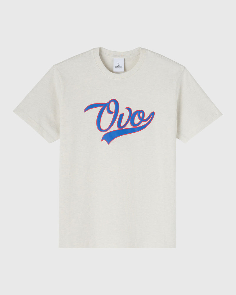 Script Logo T-Shirt - Ash Heather Grey