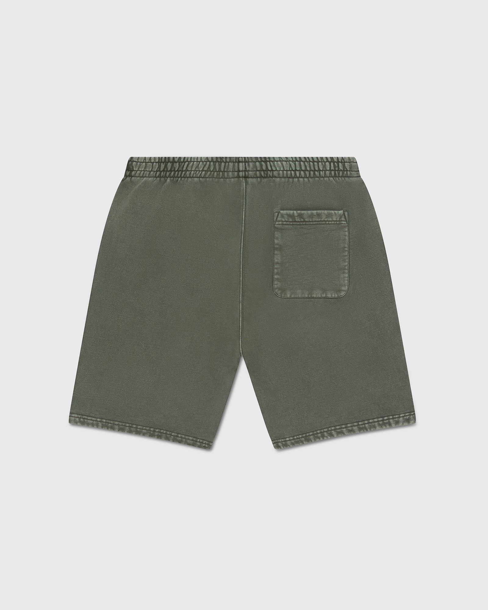 Muskoka Garment Dyed Shorts - Sage IMAGE #4